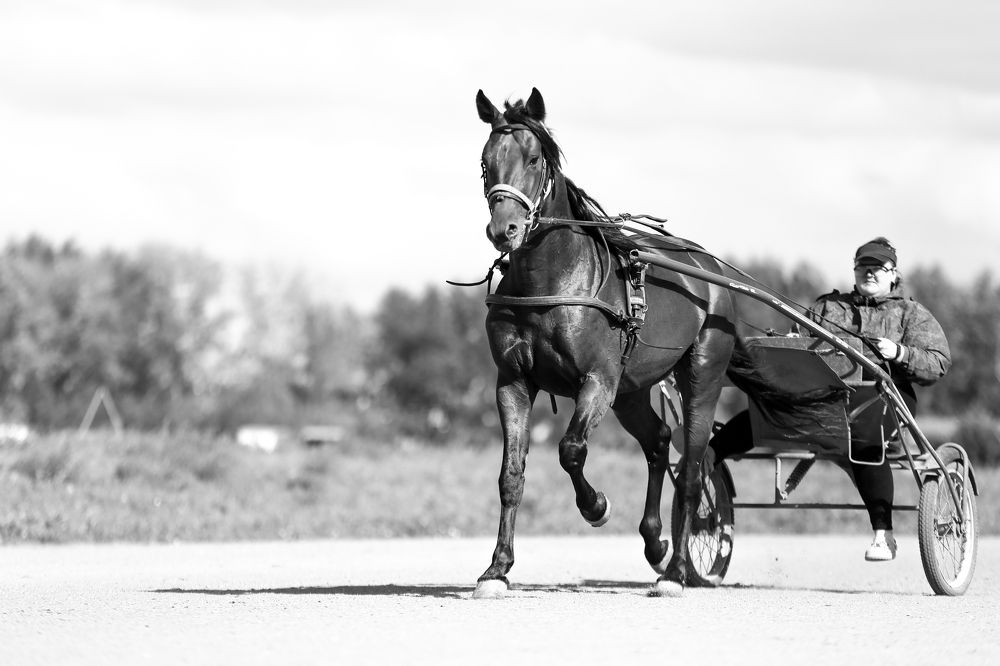 Photograph by Ирина Ивановна