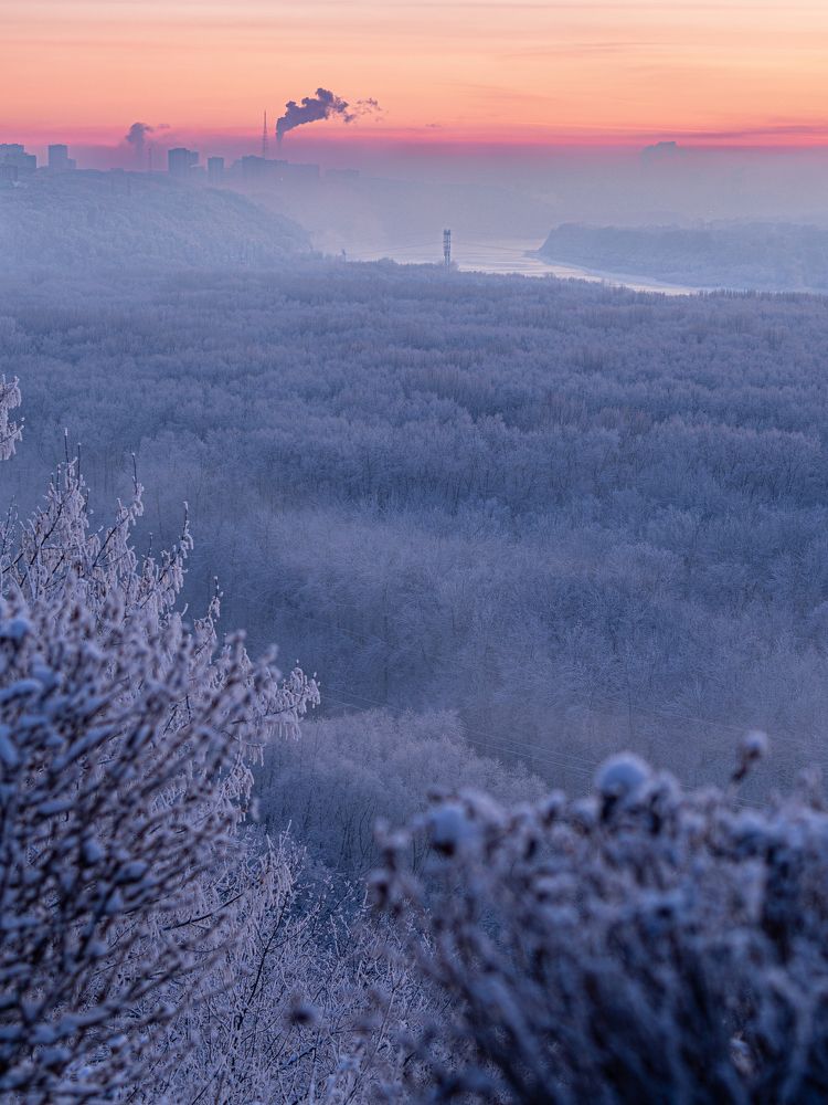 Photograph by Larisa Usova