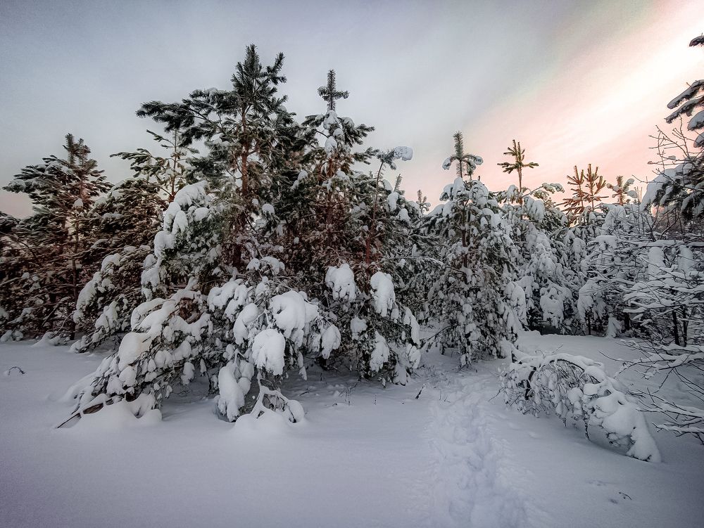 Photograph by Денис Шамров