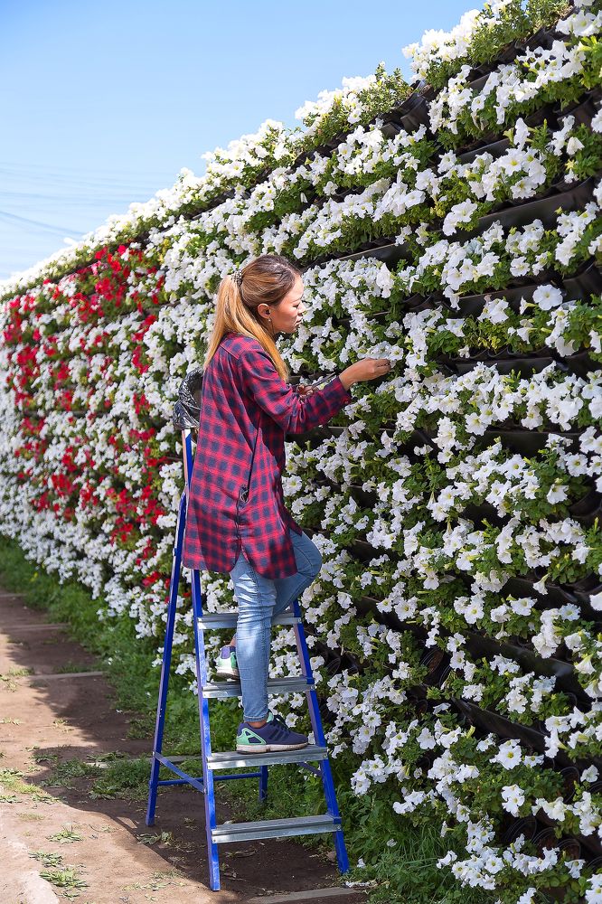 Цветочница.