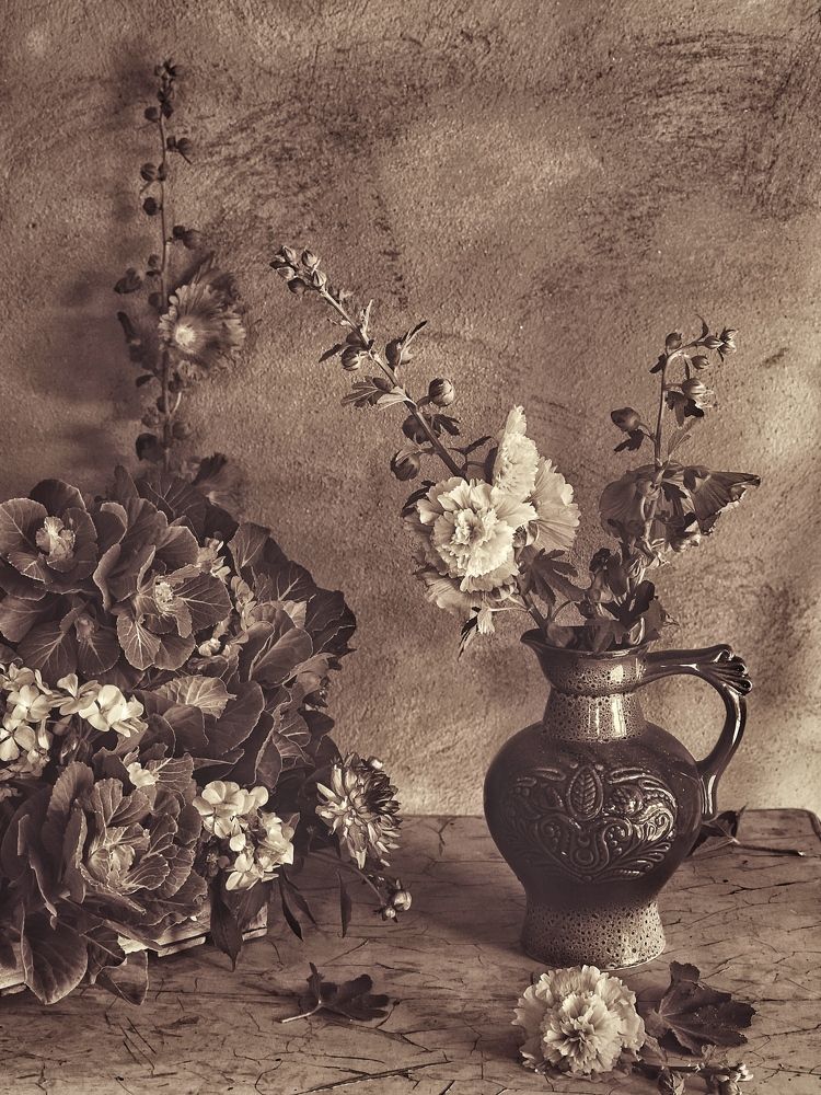 Photograph by Наталья Перерва