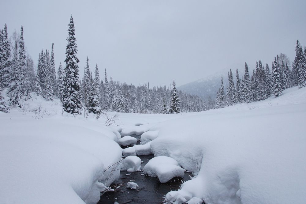 Photograph by Юрий Гау