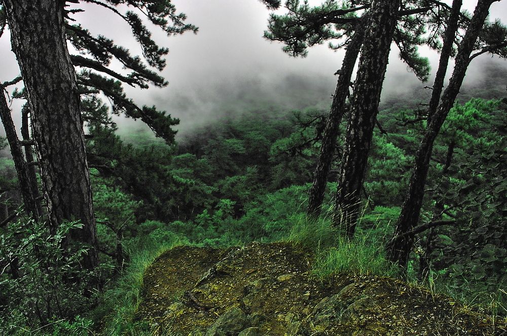 Photograph by Александр Кудрявцев