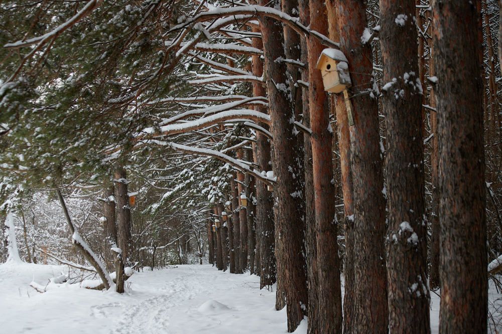 Photograph by Дмитрий Соколов