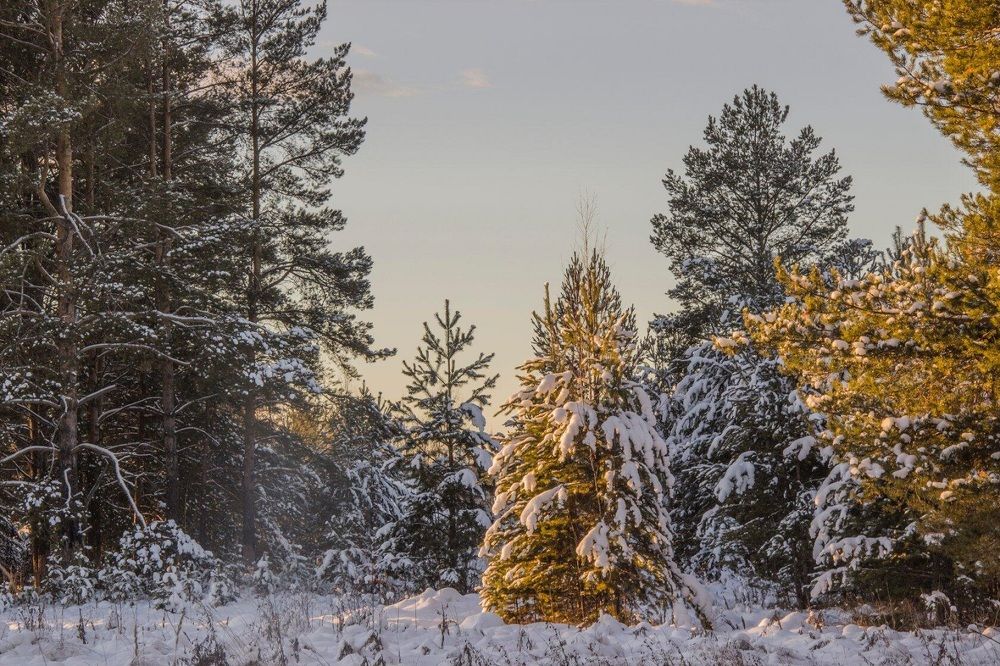 Фотография автора Михаил