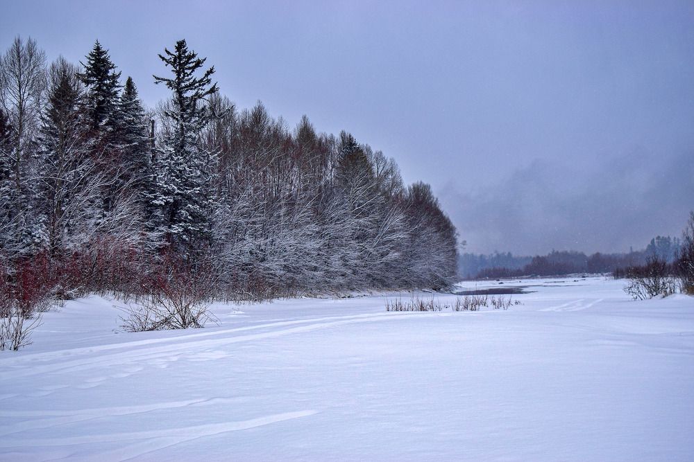 Пришла зима