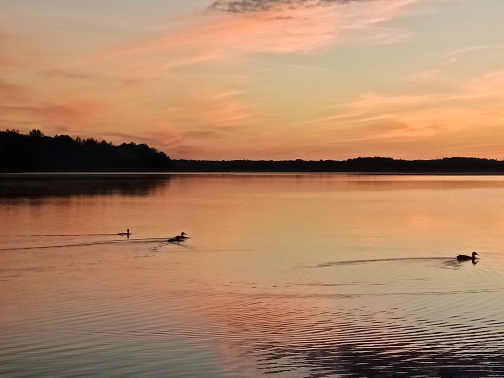 Photograph by Елена Лепешкина