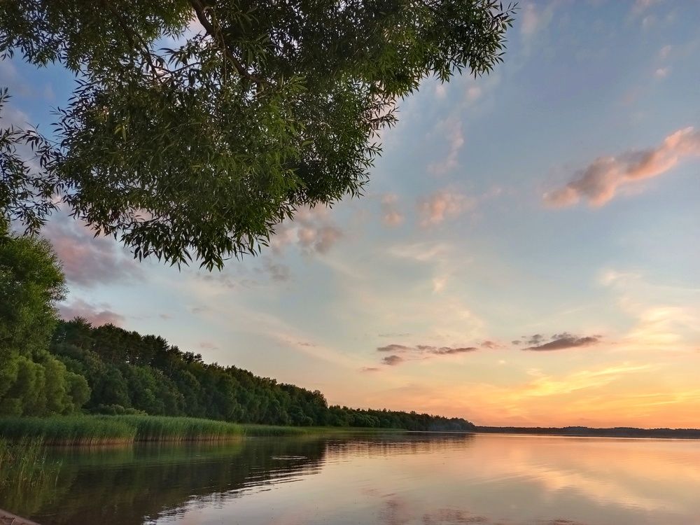 Photograph by Елена Лепешкина