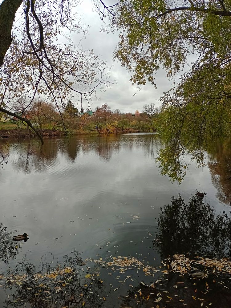 Photograph by Елена Лепешкина