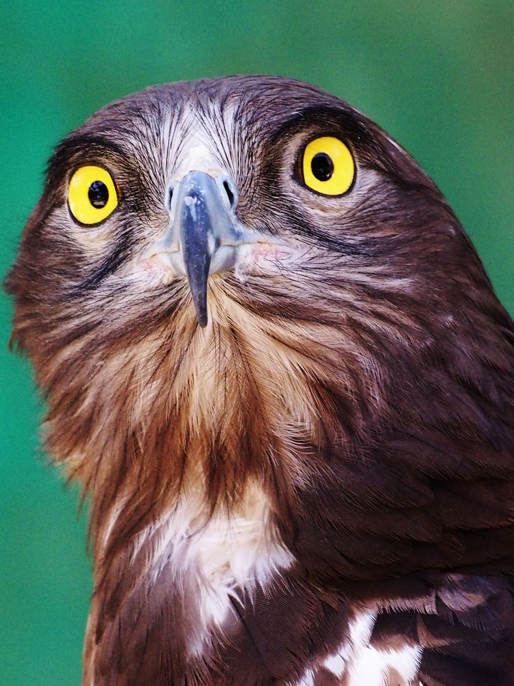 Photograph by Abdolreza Aleagha