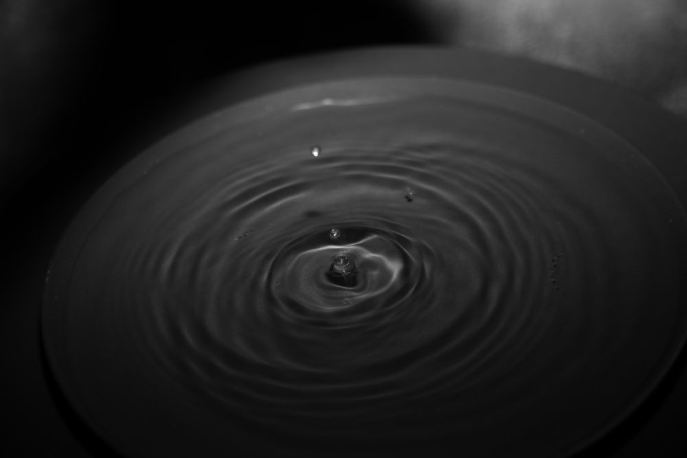 Photograph by Алина Перескокова