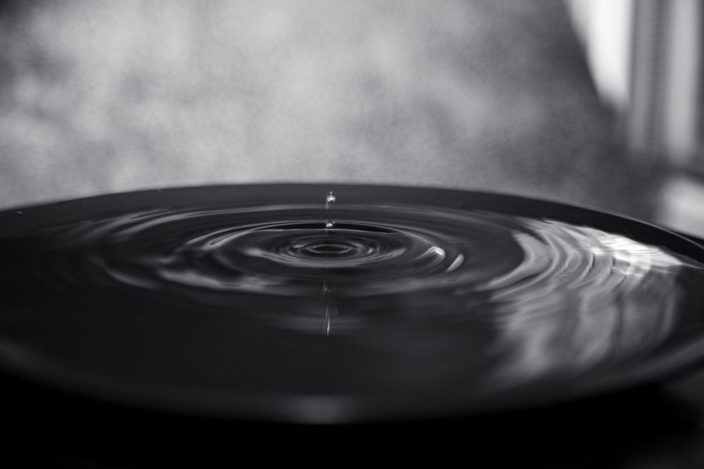 Photograph by Алина Перескокова