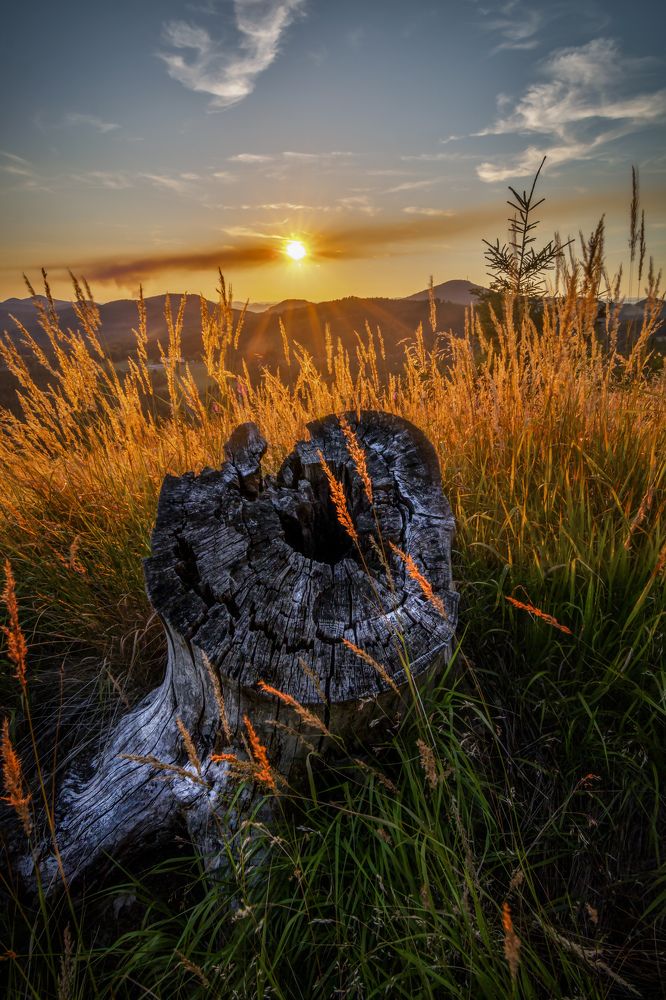 Photograph by Petr Musil