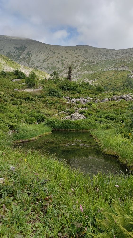 Photograph by Алина Перескокова