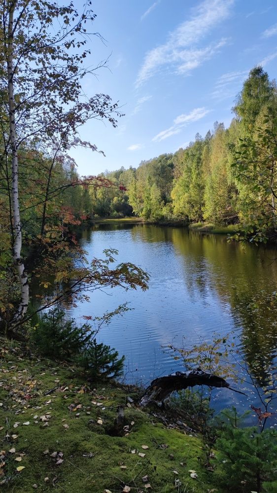 Photograph by Алина Перескокова