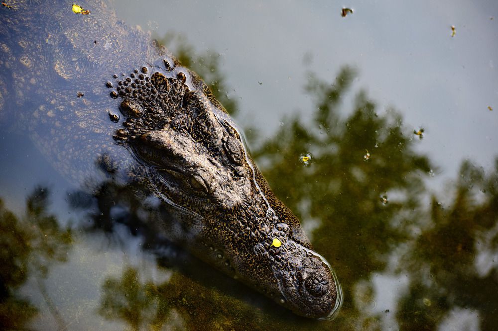 Photograph by shashiranjan prakash