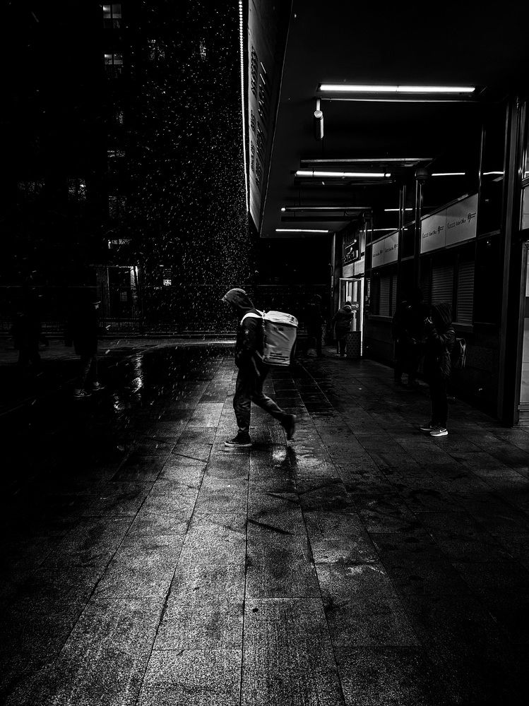 Photo #8529938