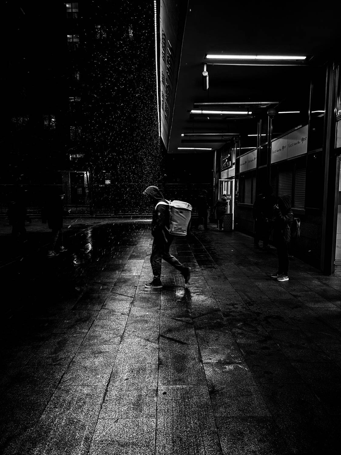 Photo #8529938
