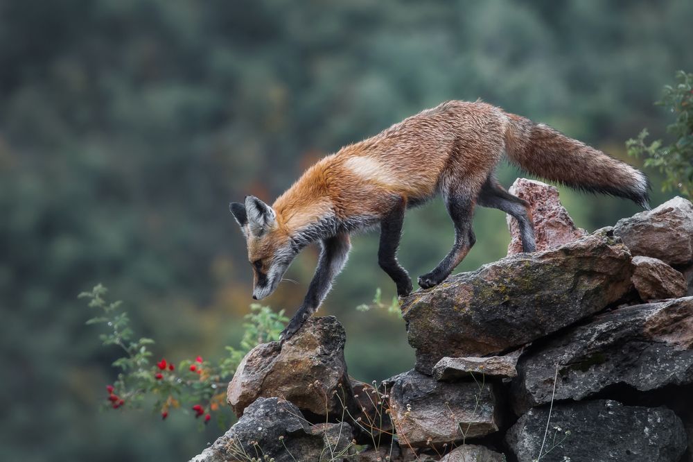 Photograph by Vyacheslav Lozhkin