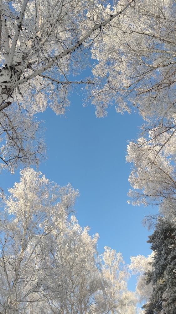 Photograph by Алина Перескокова