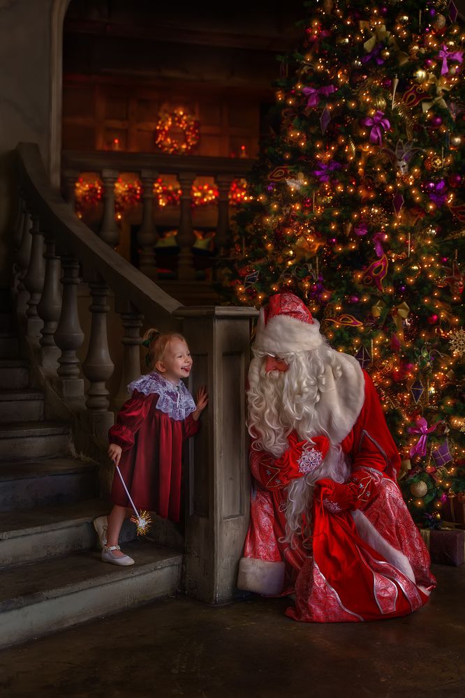 Фотография автора Елена Петрова