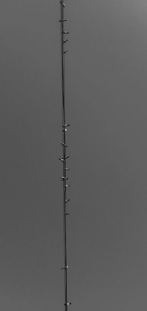 Photograph by Roghayeh Dannandeh