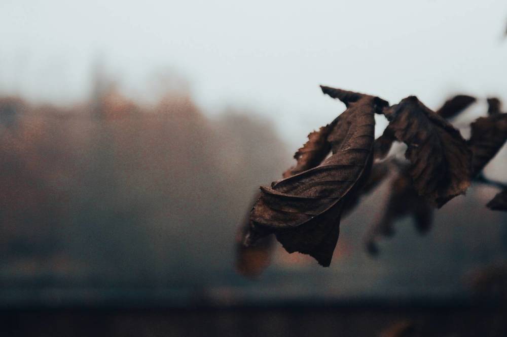 Photograph by Alina Berns