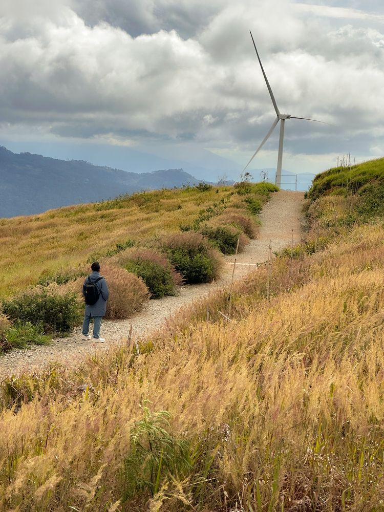 Photograph by Hoai Anh Dang