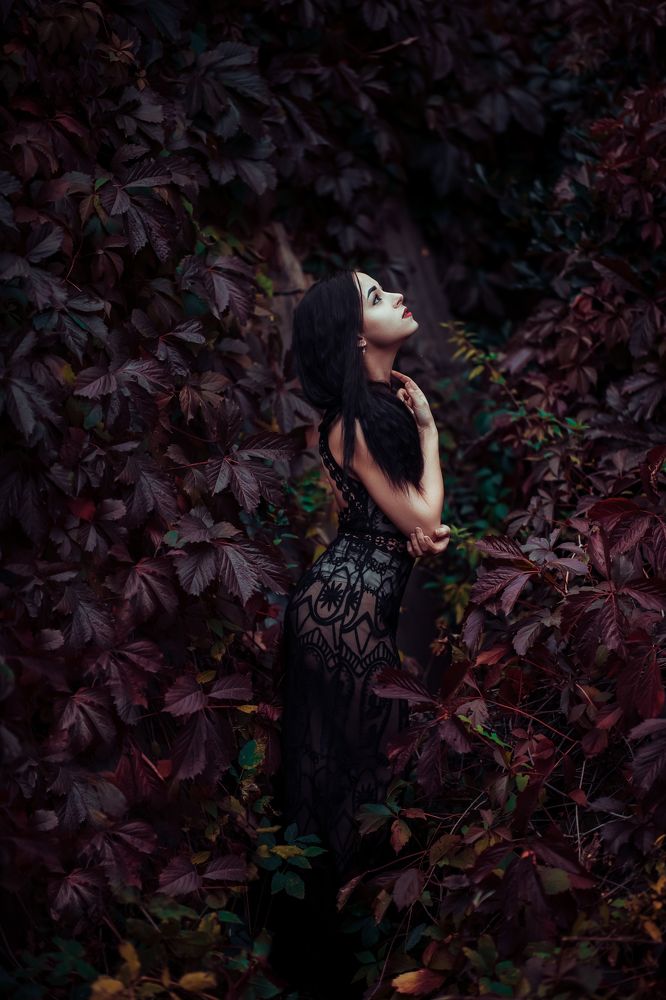 Photograph by Андрей Коротких