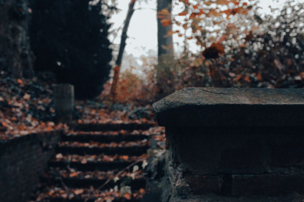 Photograph by Alina Berns