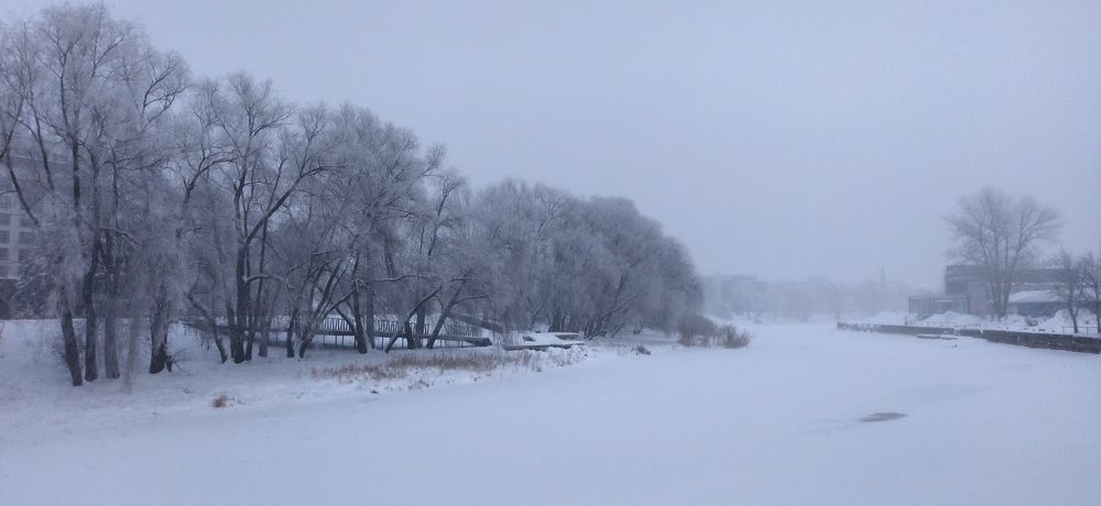 Зимний туман