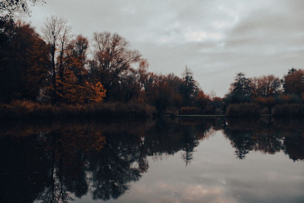 Photograph by Alina Berns