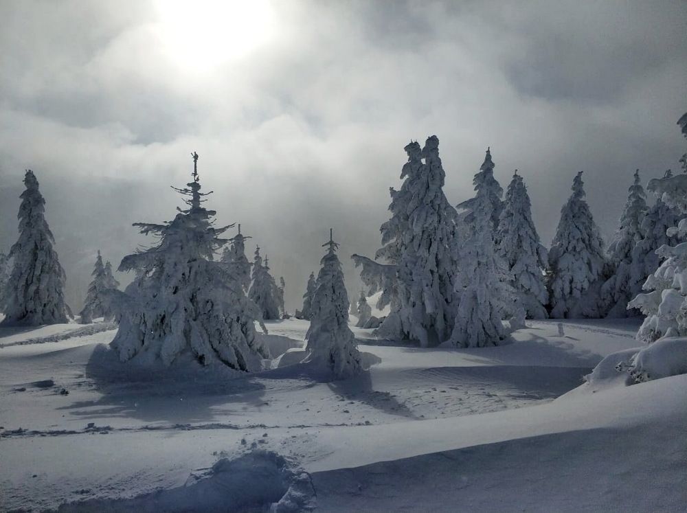 Photograph by Liliya Larkina