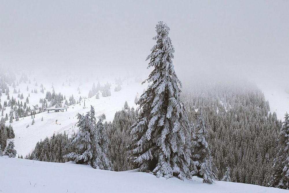 Photograph by Liliya Larkina