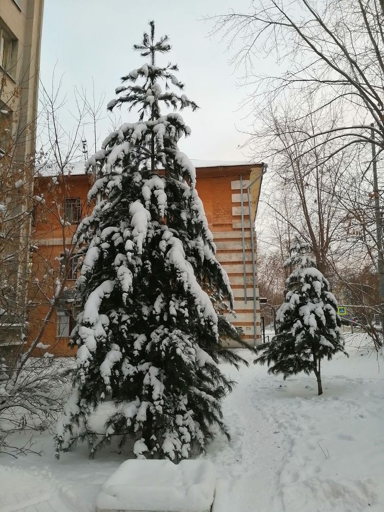 Photograph by Наталия