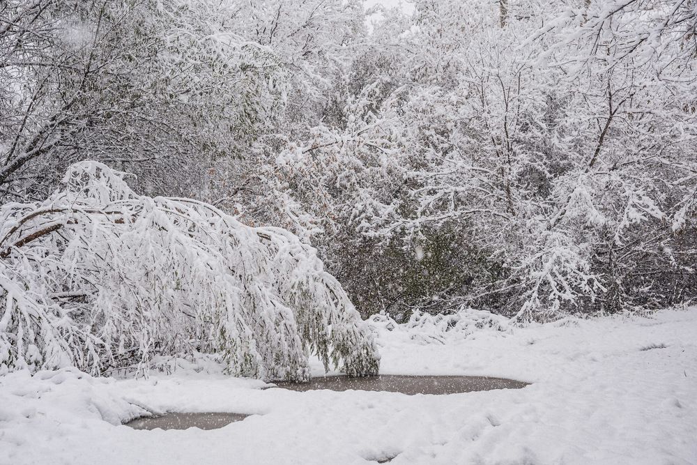 Photograph by Ирина Яук