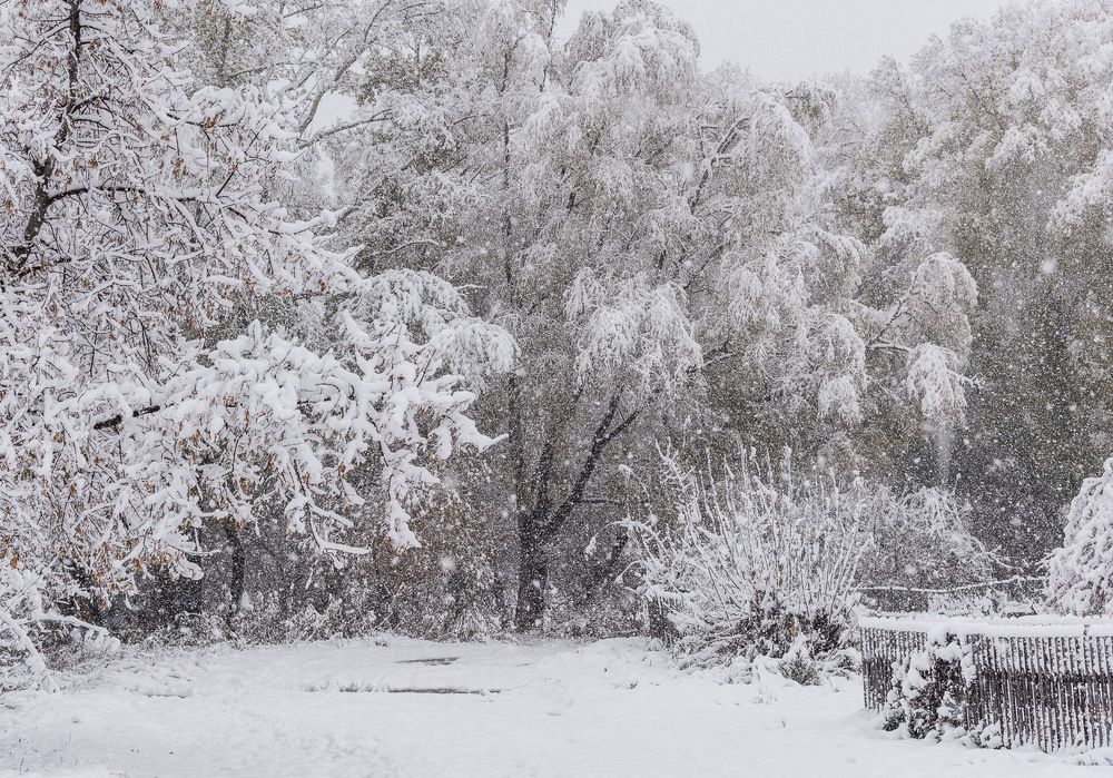 Photograph by Ирина Яук