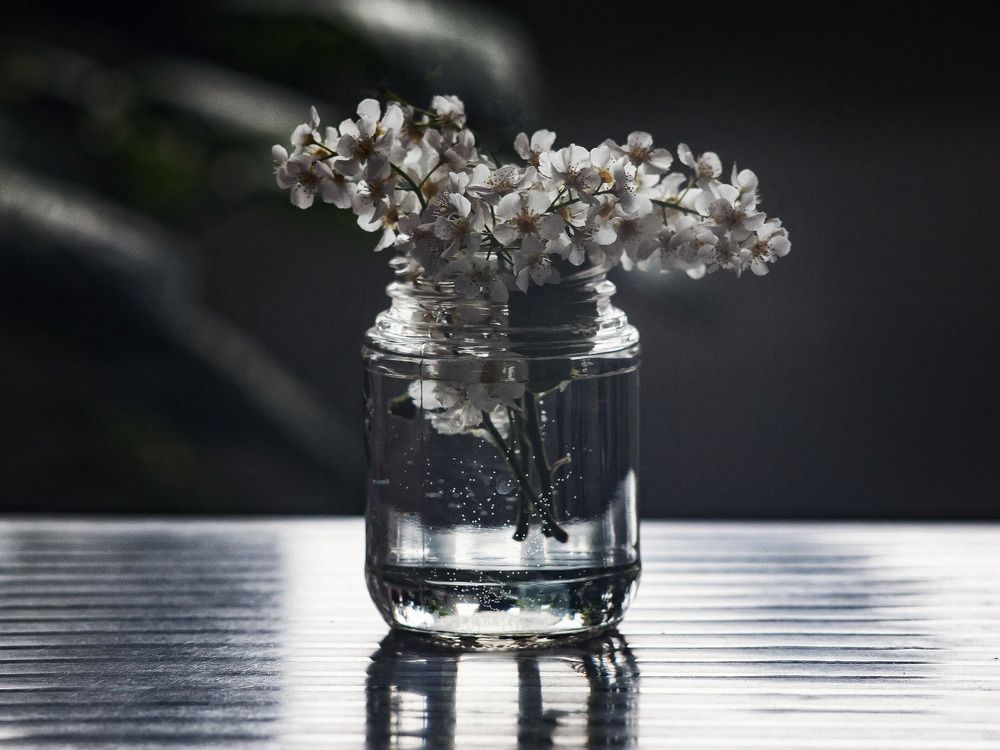 Черные ягоды в белой стадии