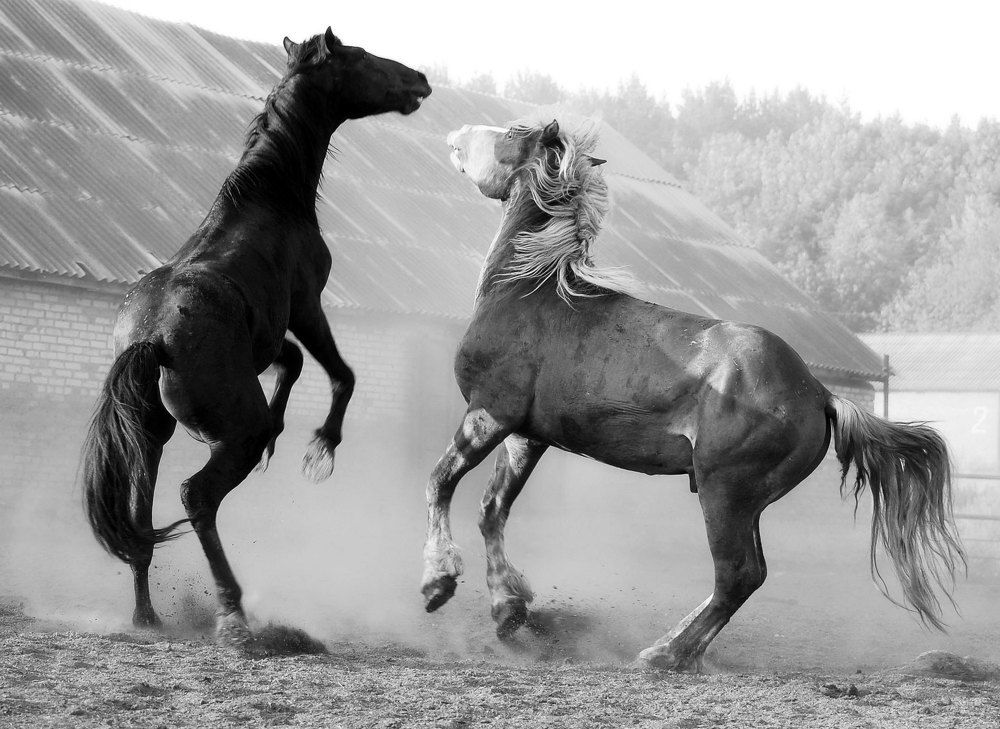 Photograph by Фомина Марина