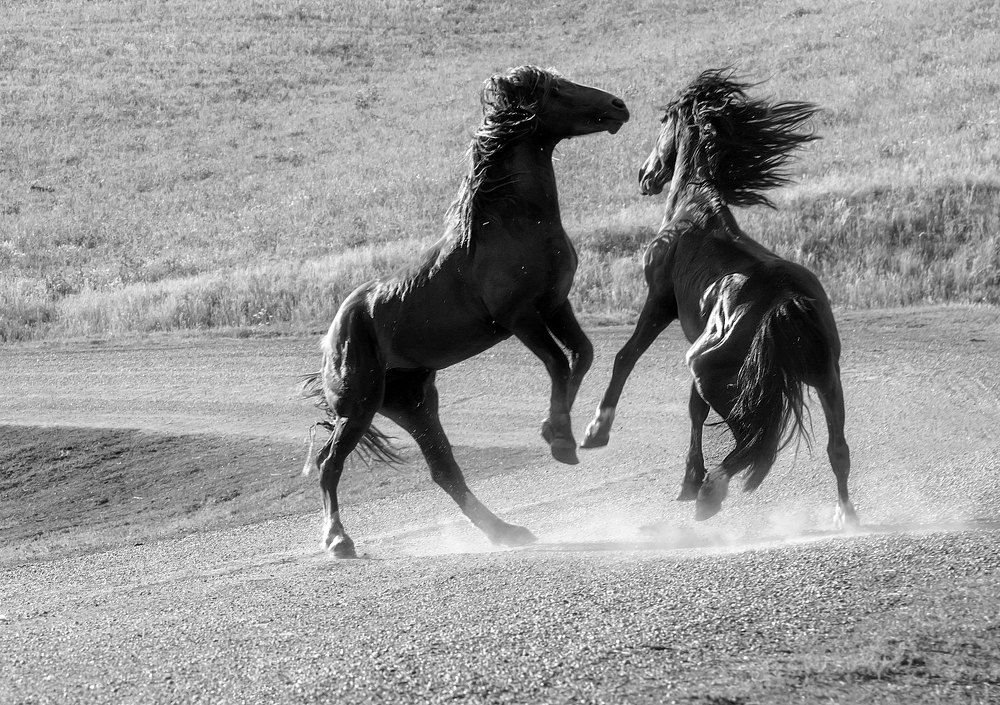 Photograph by Фомина Марина