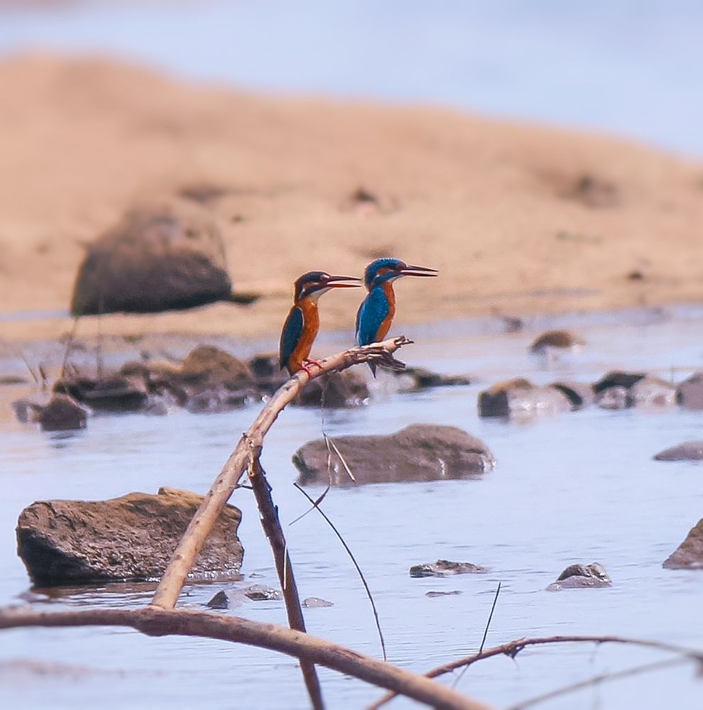 Photograph by Anshuman Pradhan