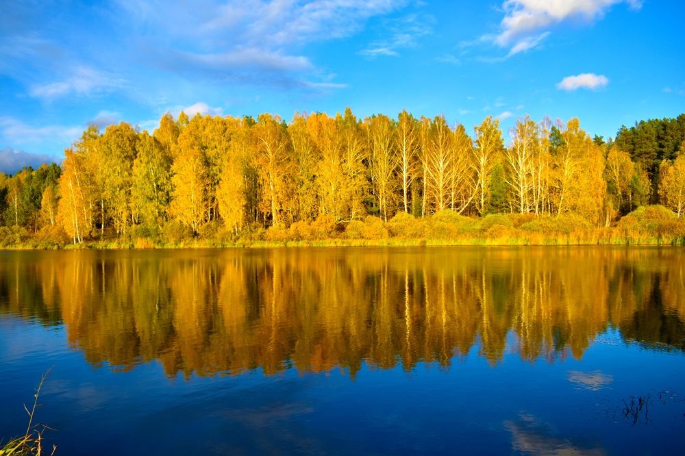 Photograph by Александр Захаров