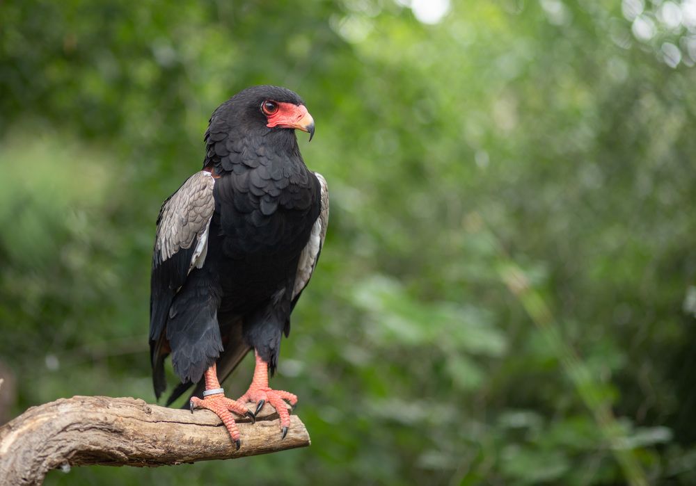 Photograph by Анна Малютина