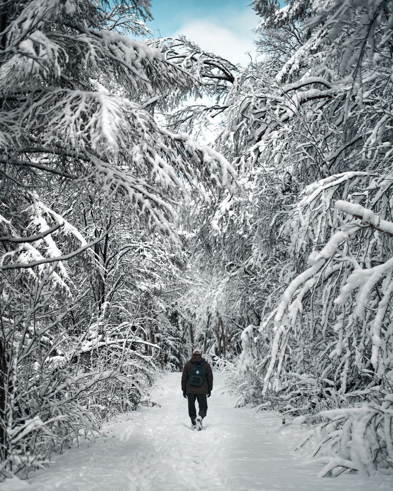 Photograph by Андрей Бельцов