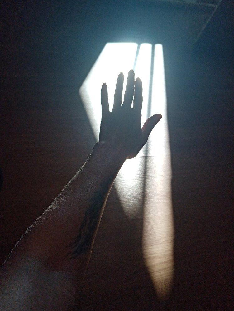 Photograph by Хамитова Светлана