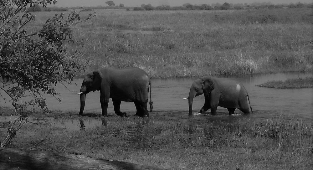 Photograph by Ирина