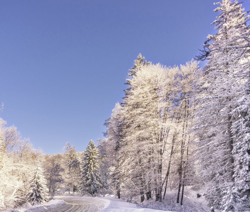Фотография автора Milena Ivanova