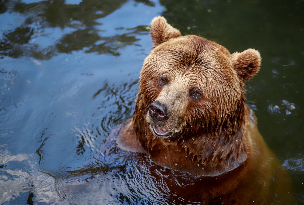 Photograph by Анна Малютина