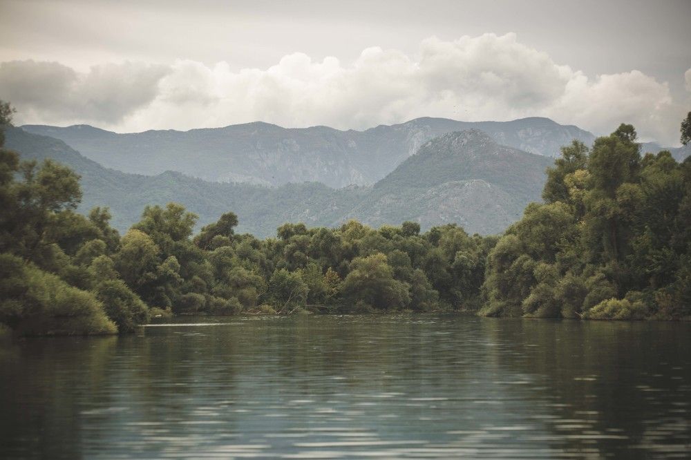 Photograph by Наталья Катюжанская