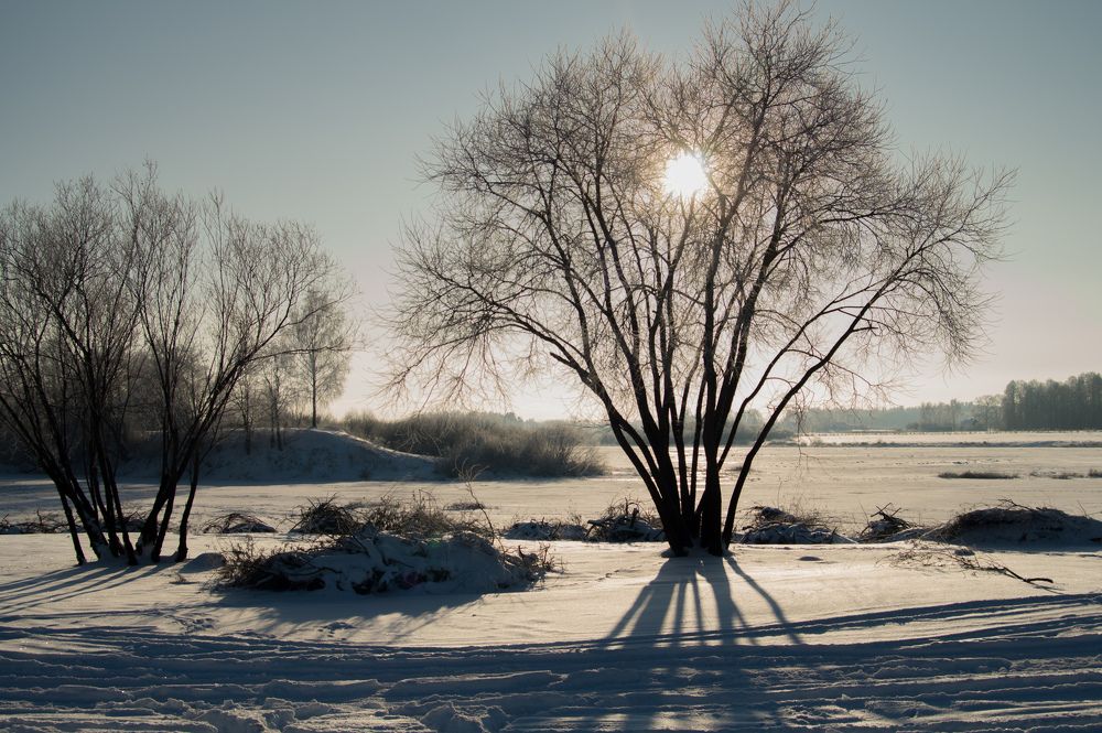 Фотография автора Нина Шкляр